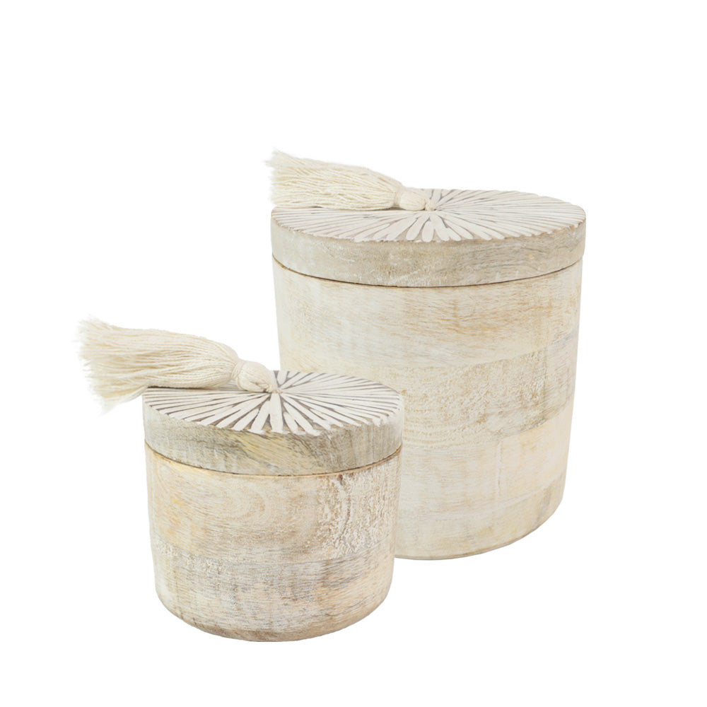 Urne biodégradable pour animaux