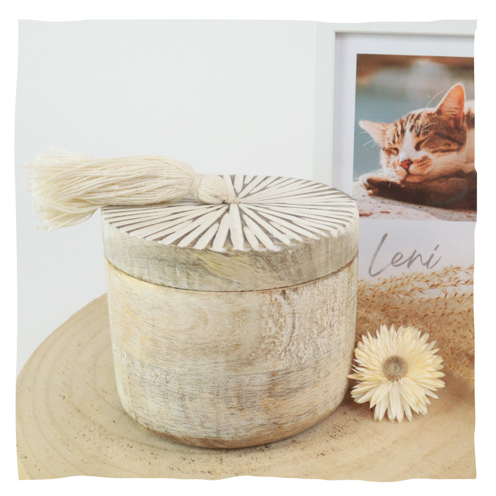 Urne biodégradable pour animaux