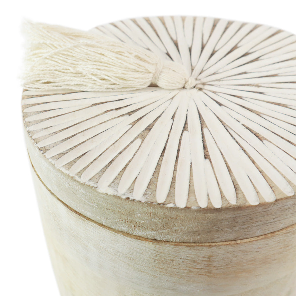 Urne biodégradable pour animaux