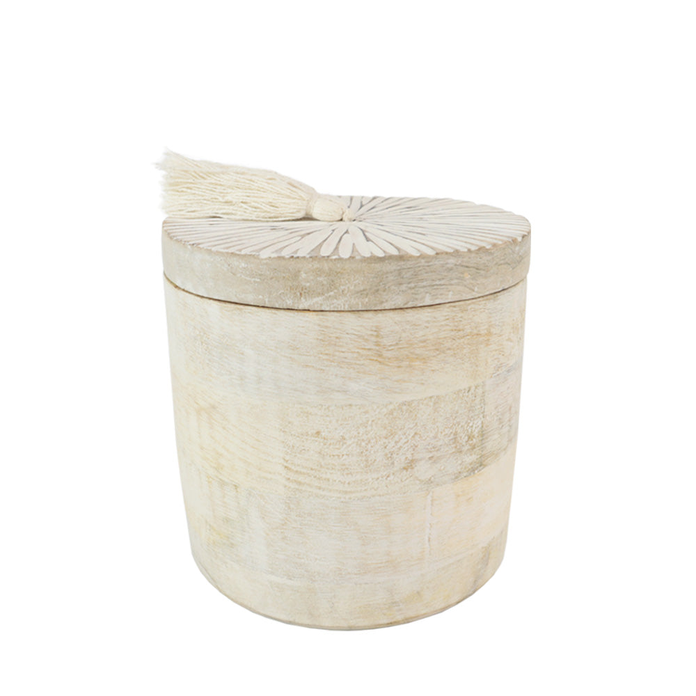 Urne biodégradable pour animaux