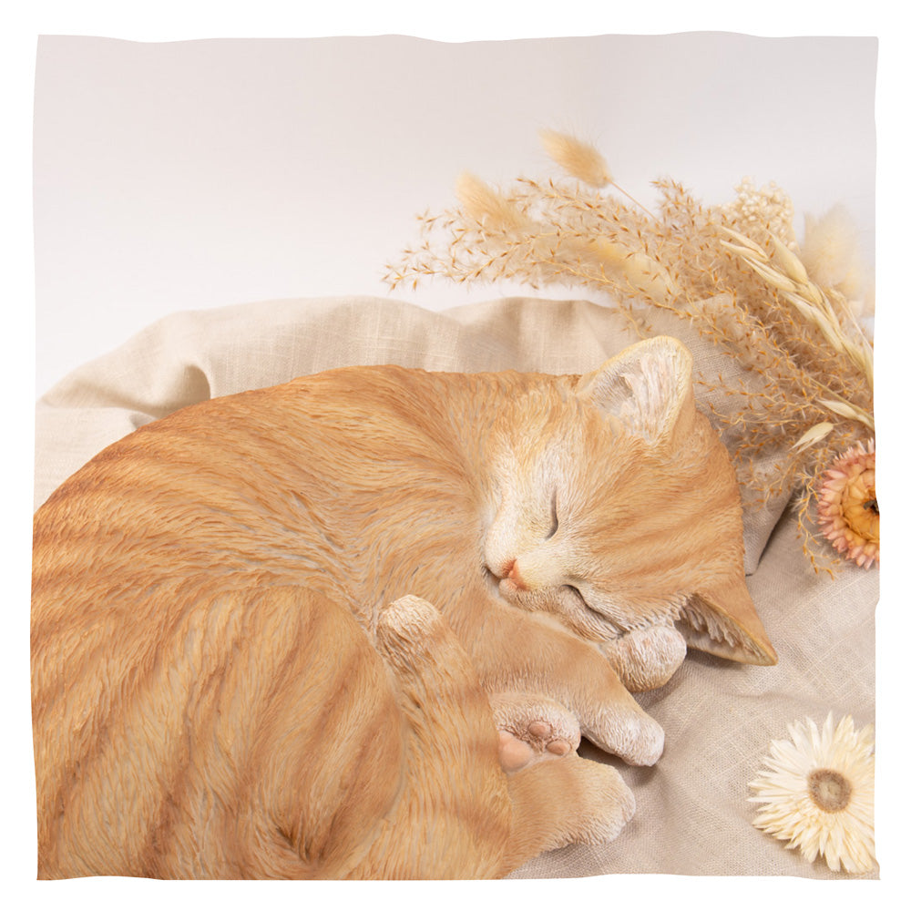 Urne pour animaux