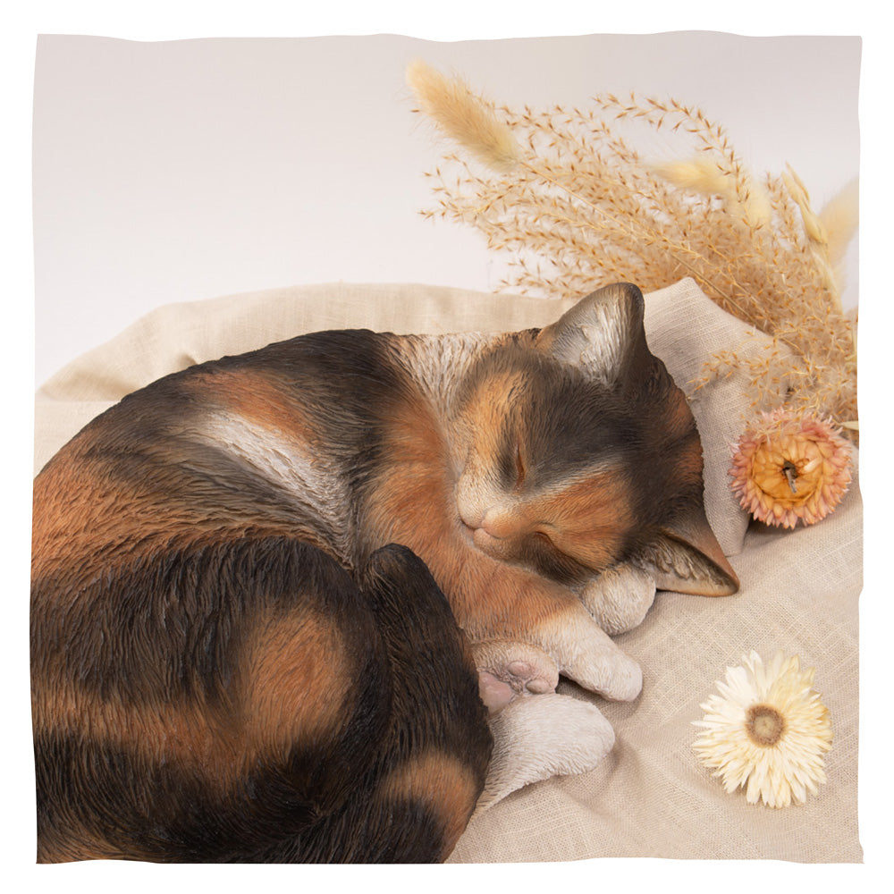 Urne pour animaux