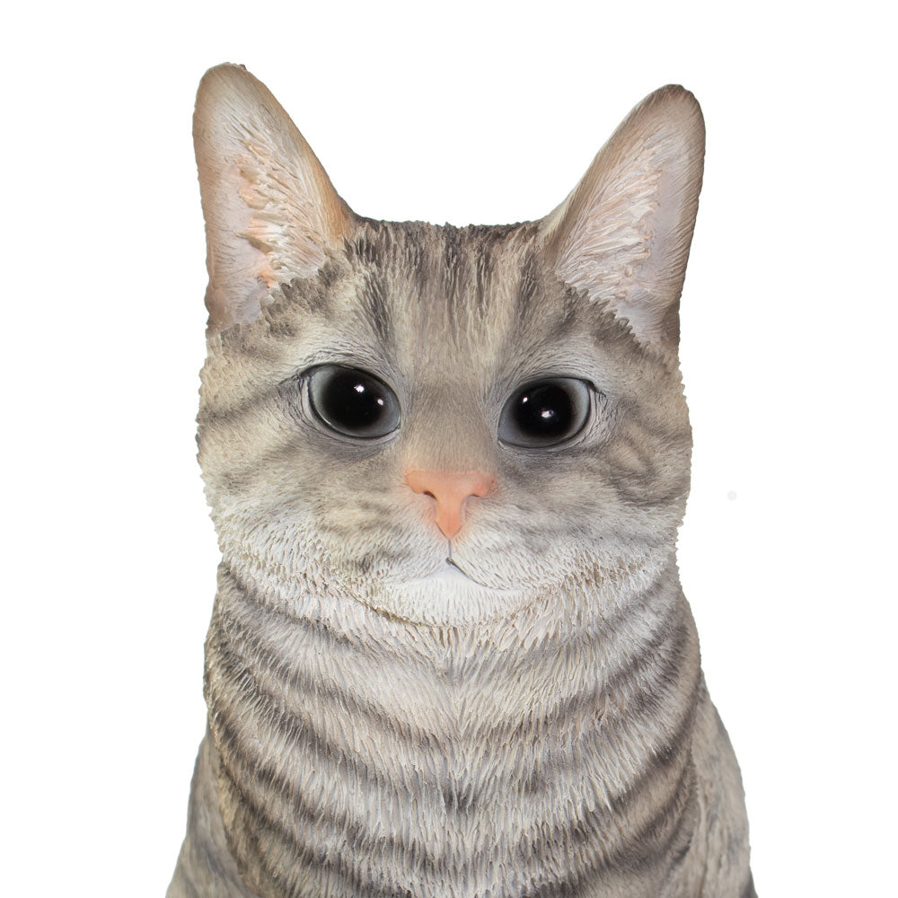 Urne pour animaux
