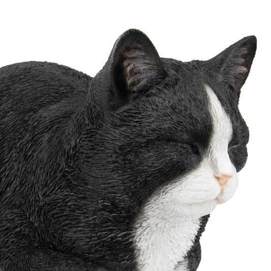 Urne pour animaux "Chat Tuxedo", assoupi