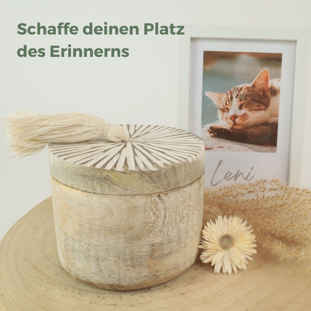 Urne biodégradable pour animaux