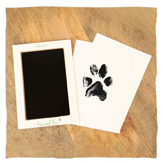 Kit d'empreintes de pattes