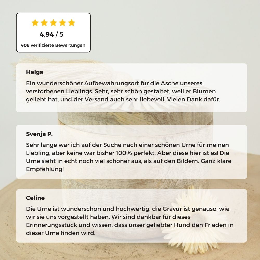 Urne biodégradable pour animaux