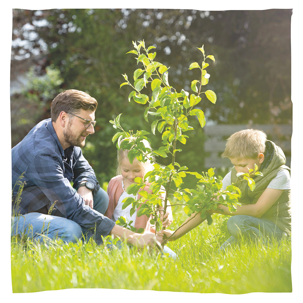 Urne pour animaux biodégradable