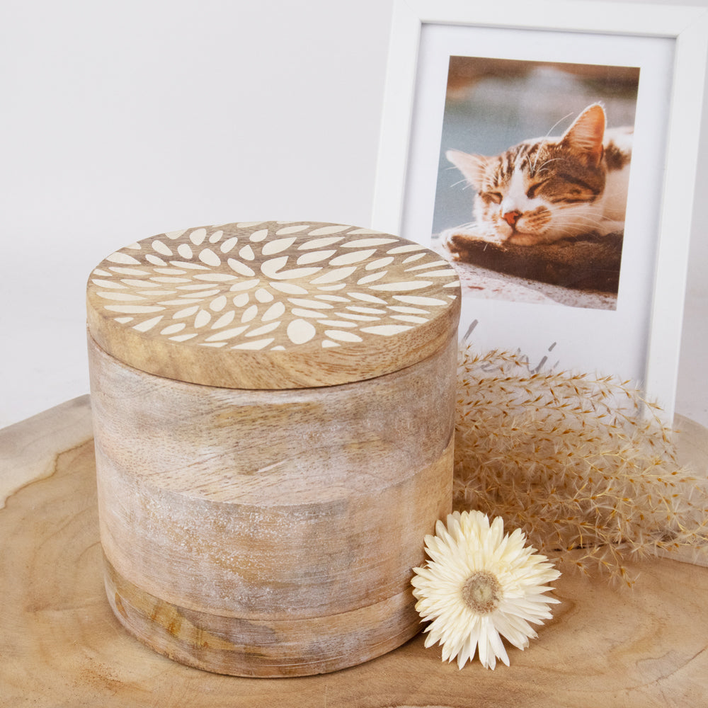 Urne biodégradable pour animaux