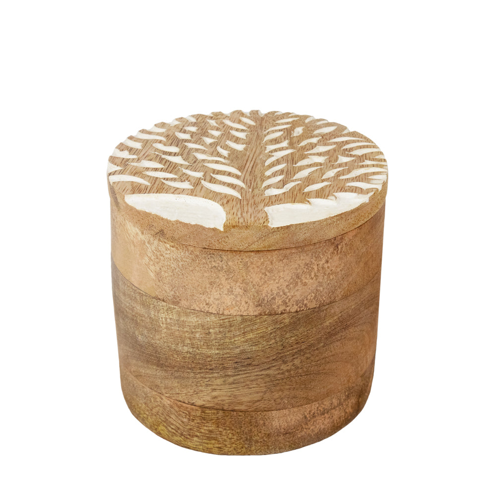 Urne biodégradable pour animaux