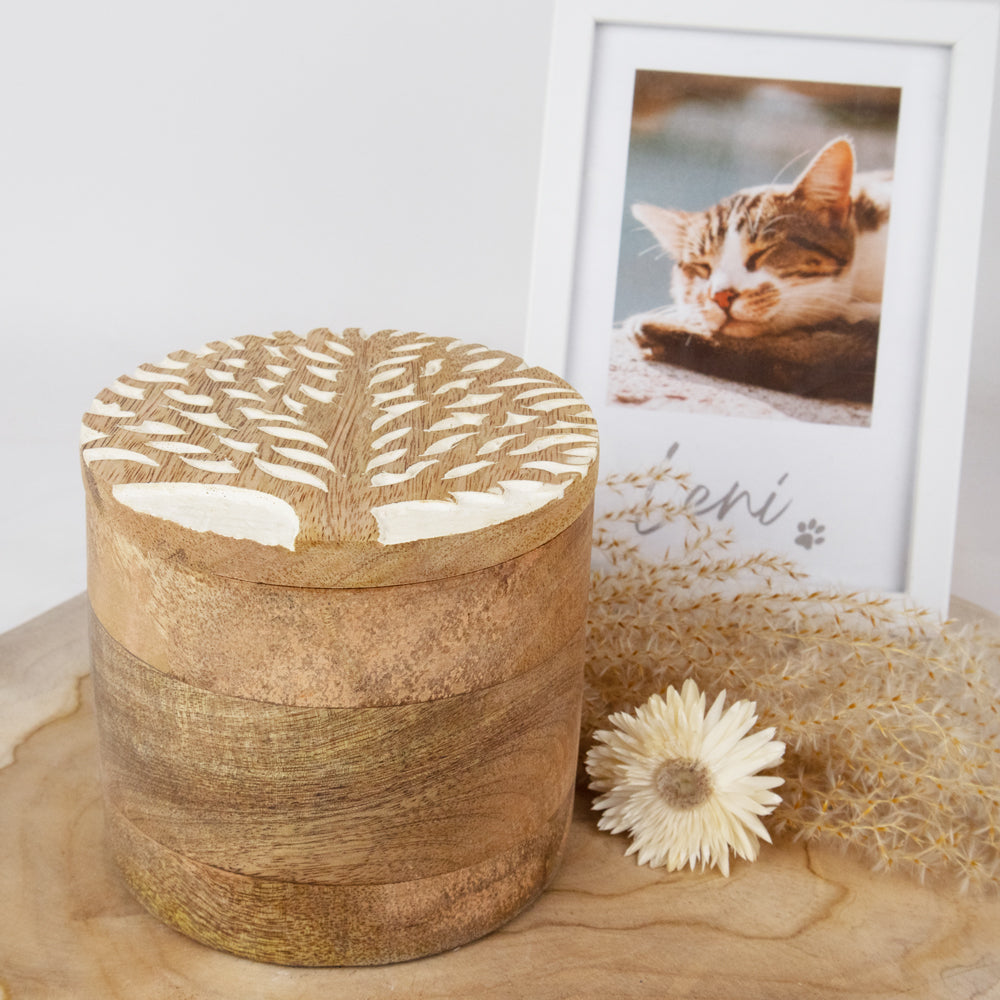 Urne biodégradable pour animaux