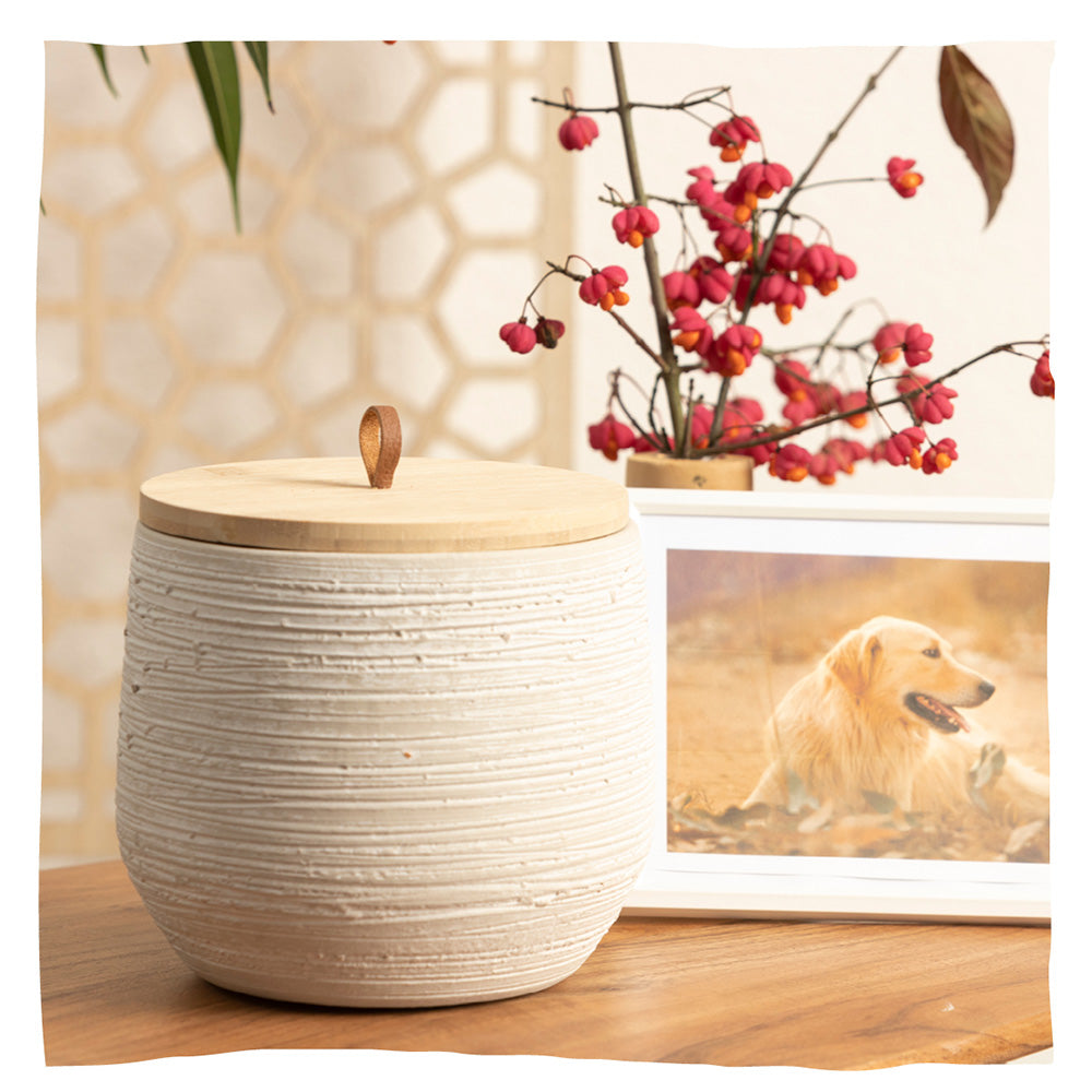 Urne en céramique pour animaux