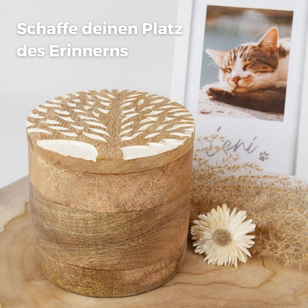 Urne biodégradable pour animaux