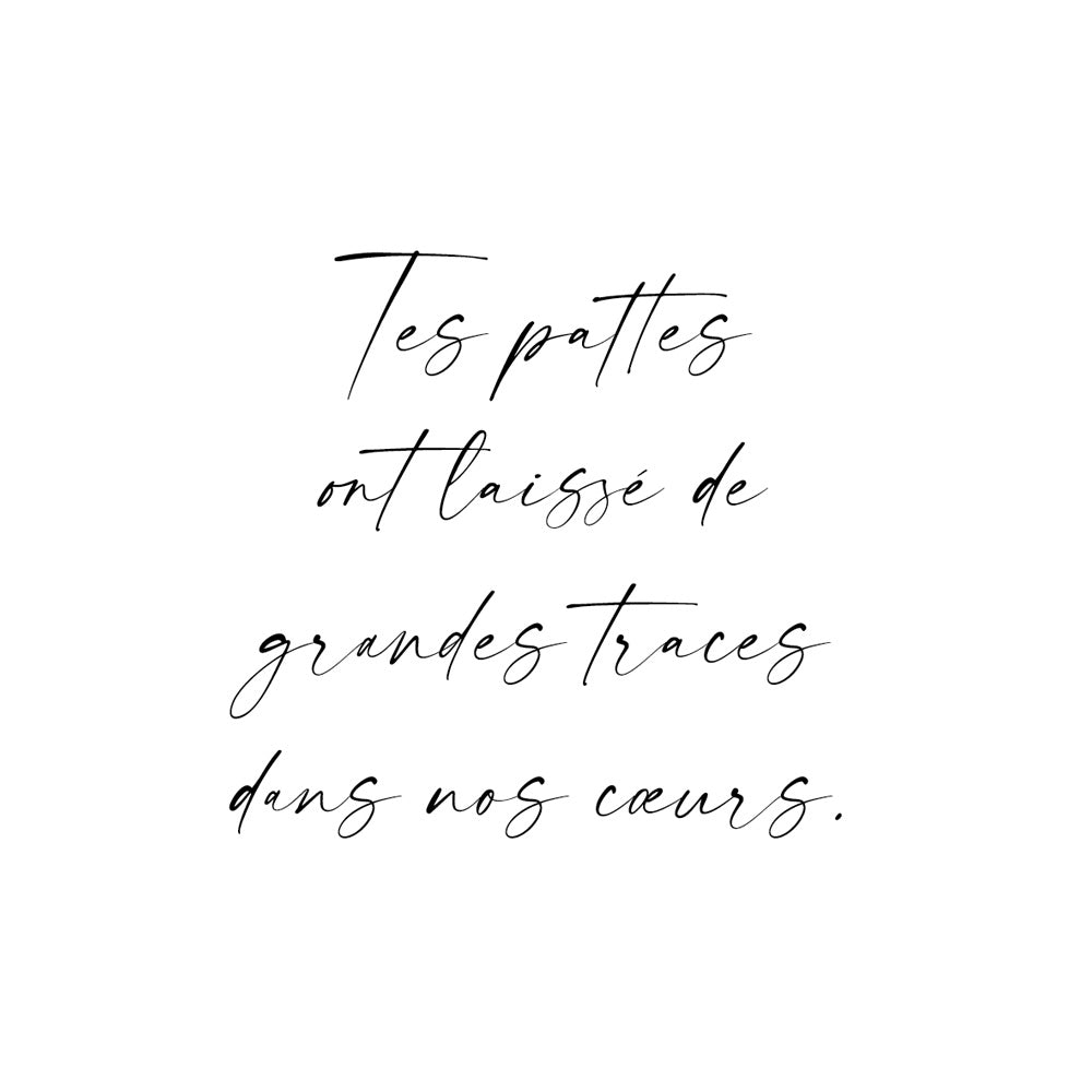 Inscription individuelle en écriture manuscrite avec slogan