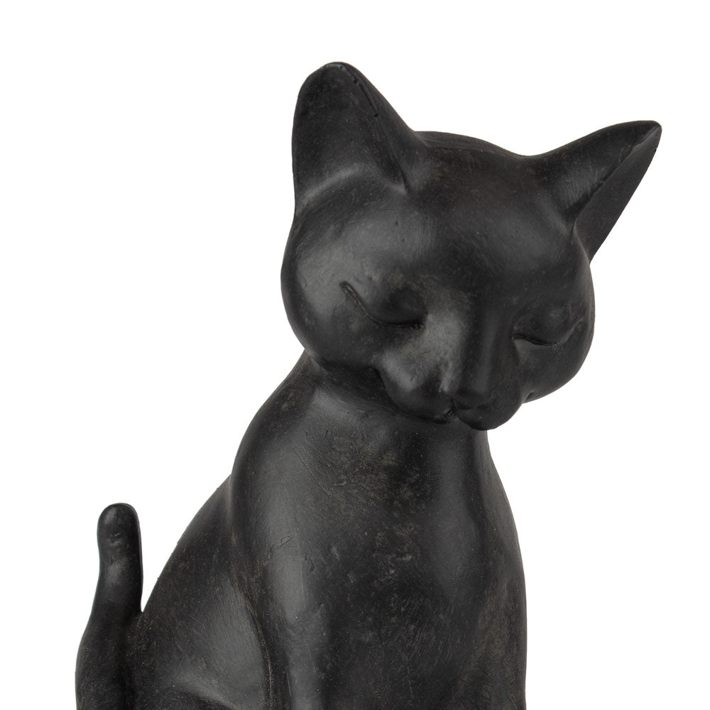 Urne pour animaux
