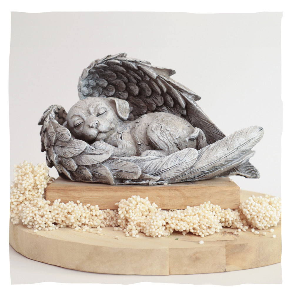 Urne pour animaux 