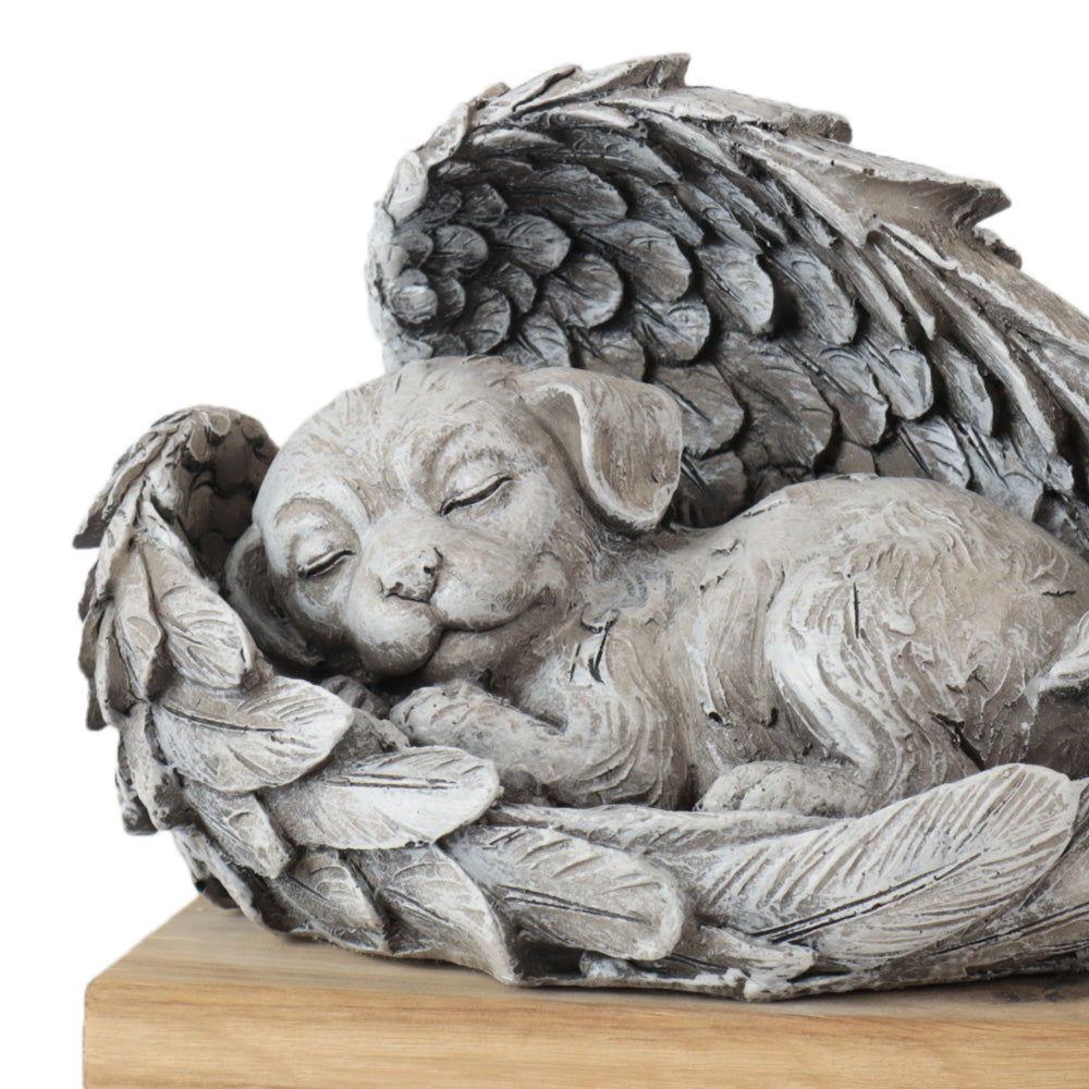 Urne pour animaux 