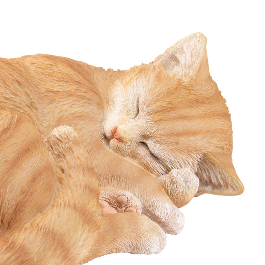 Urne pour animaux "Ginger-chat", enroulé