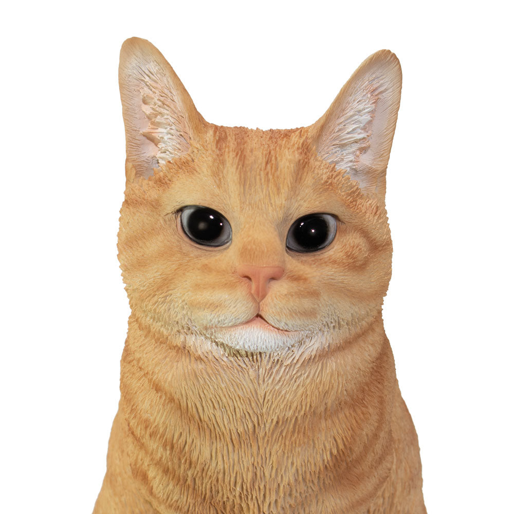 Urne pour animaux 