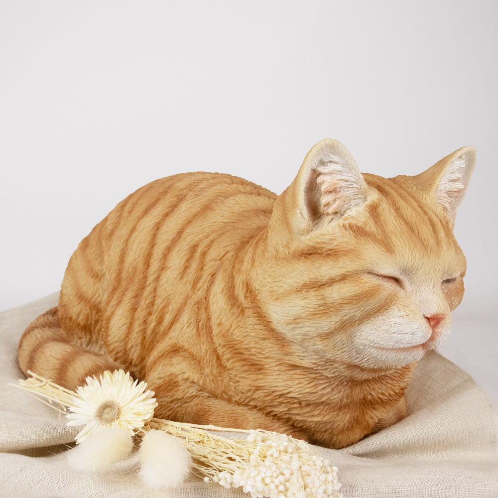 Urne pour animaux 