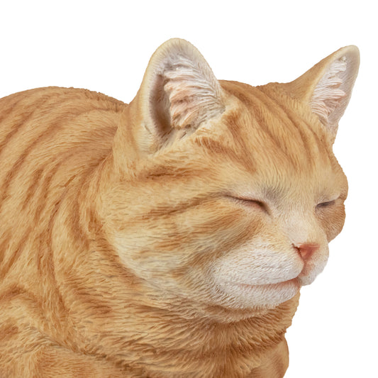 Urne pour animaux "Ginger-chat", sluimerende