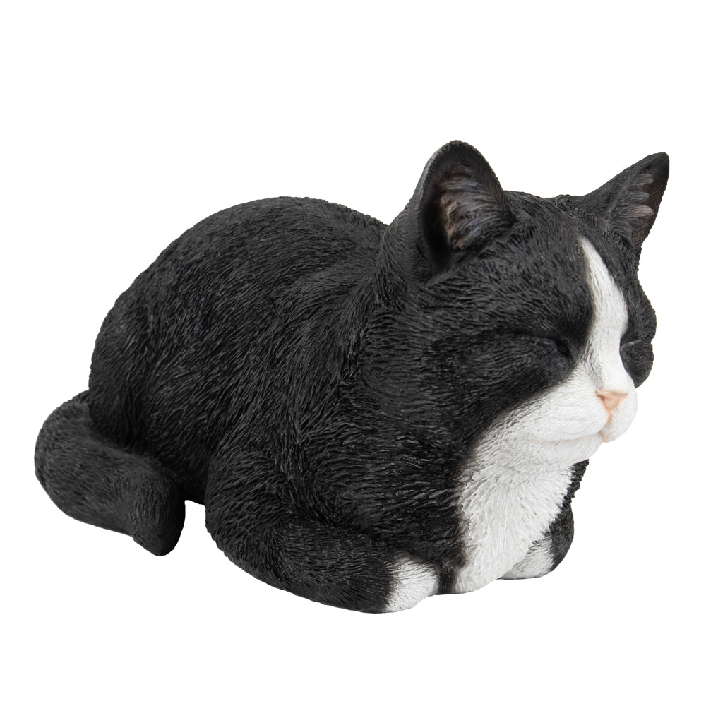 Urne pour animaux 