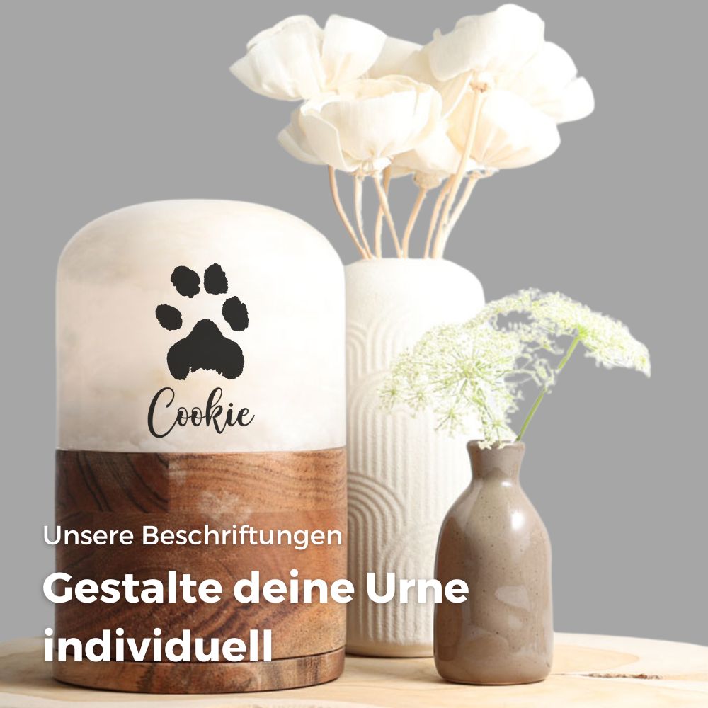 Urne pour animaux 