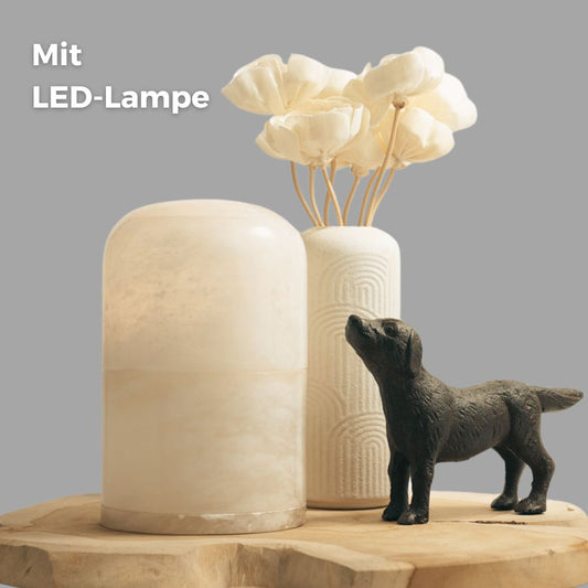 Urne pour animaux "Light of Memory" - albâtre