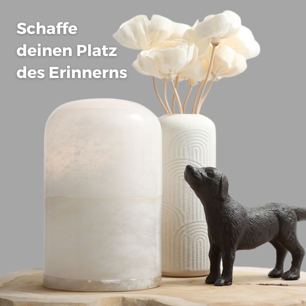 Urne pour animaux 