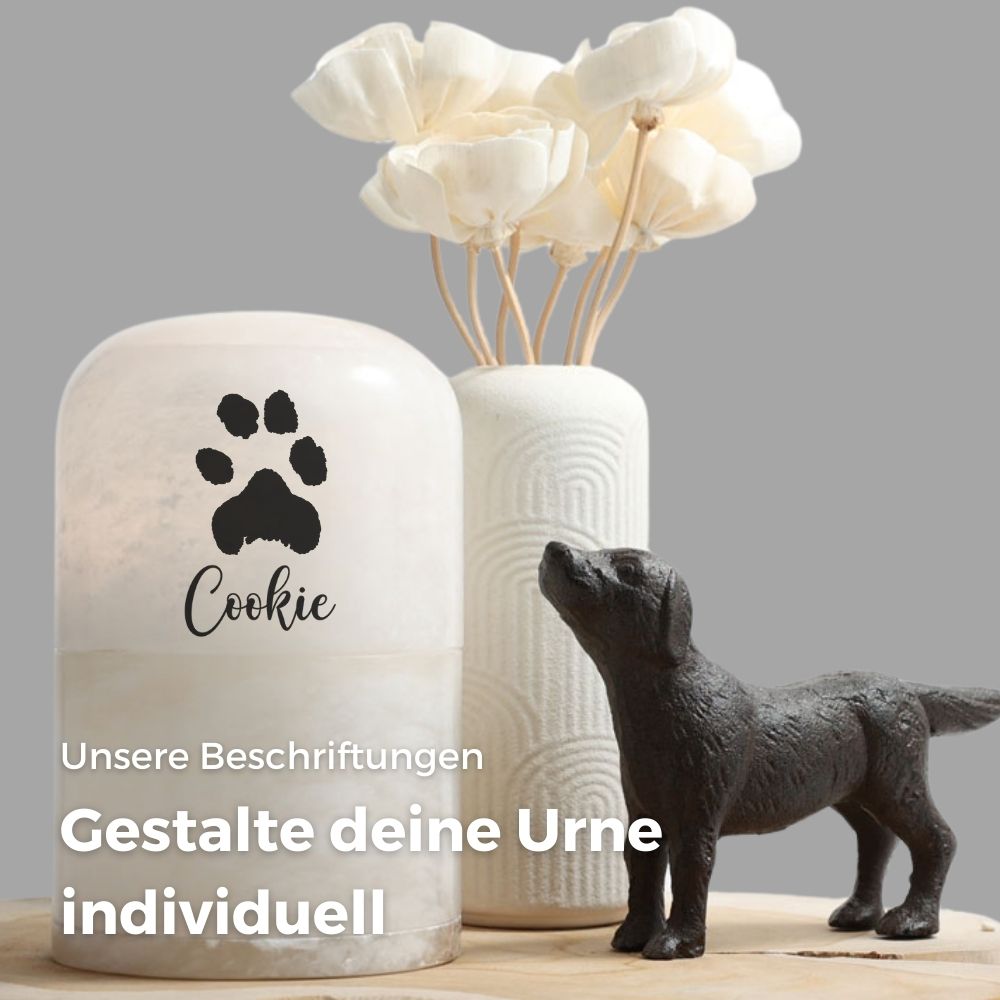 Urne pour animaux 