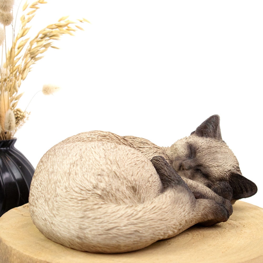 Urne pour animaux 