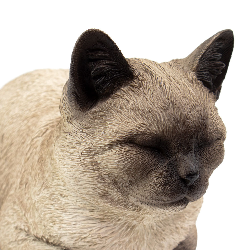 Urne pour animaux 