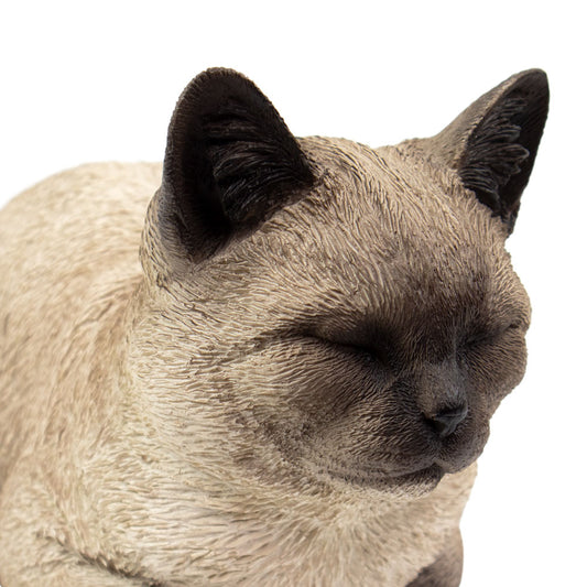 Urne pour animaux "Chat siamois", assoupi