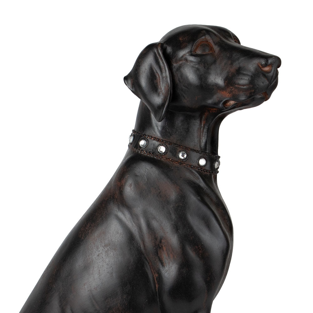 Urne pour animaux 