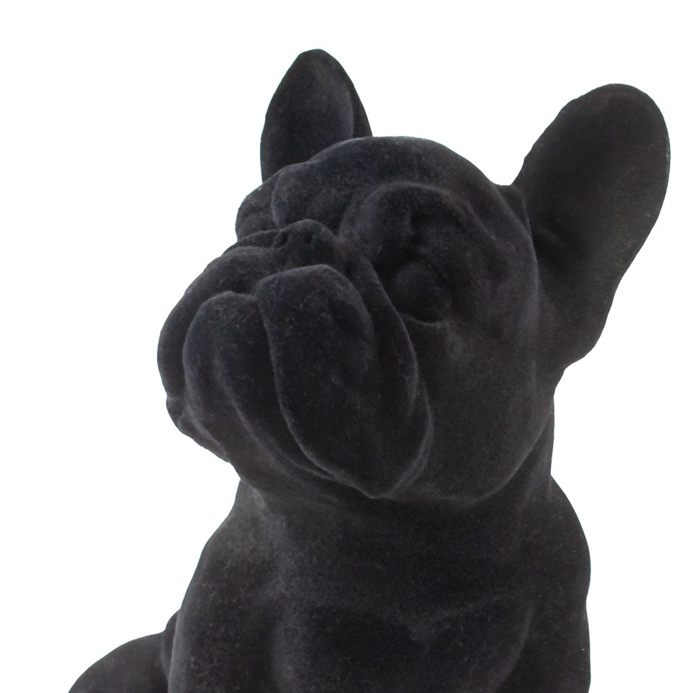 Urne pour animaux 